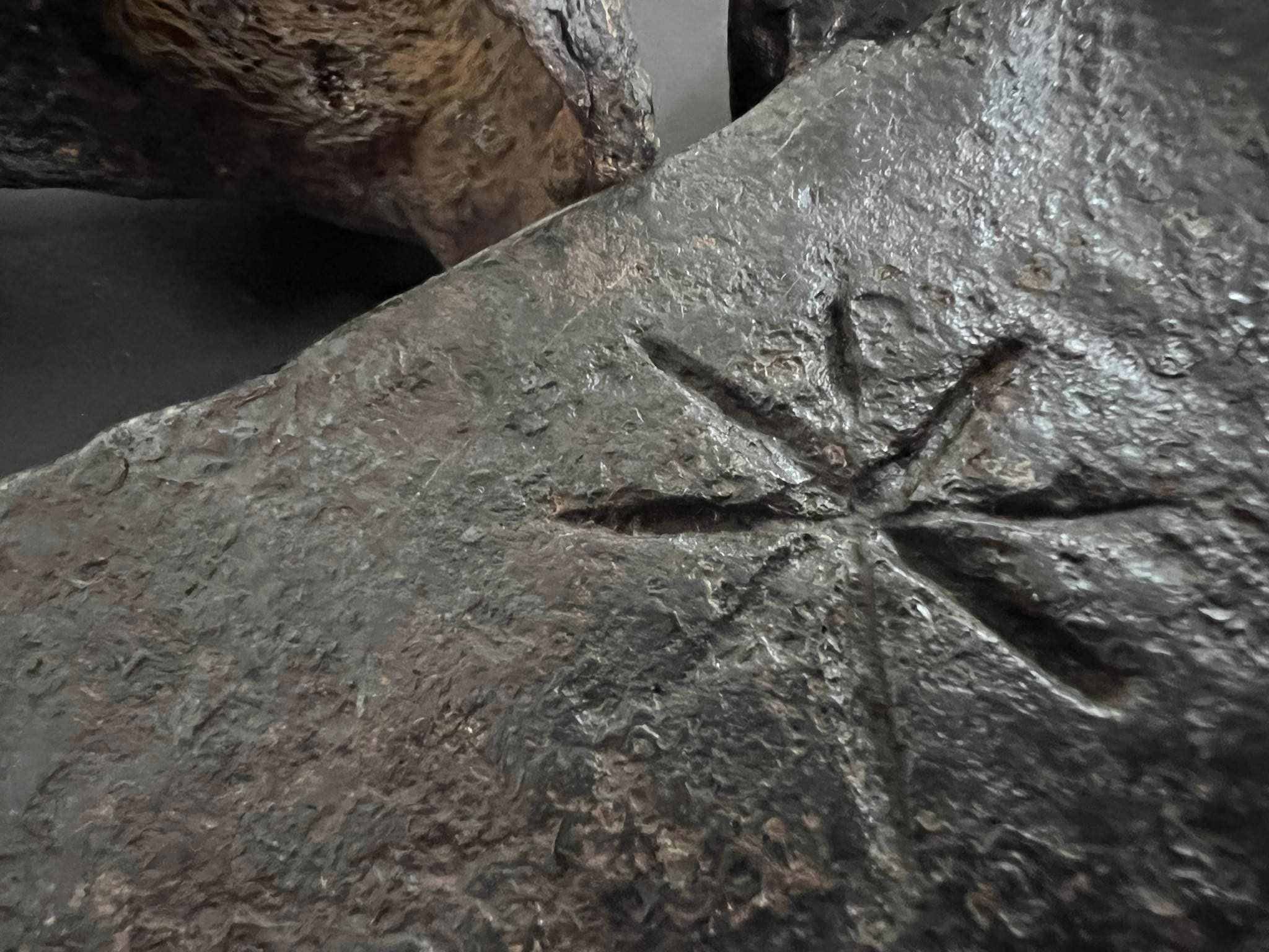 Новости Днепра про Из Днепра в США хотели незаконно переслать уникальные древние топоры времен Киевской Руси