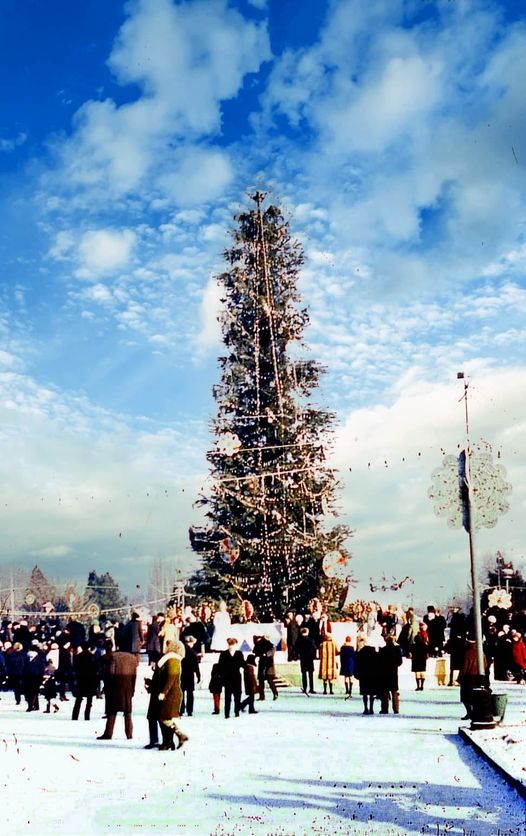Новости Днепра про Как выглядели городские елки в Днепре более 50 лет назад: километры гирлянд и закусочная рядом (ФОТО)