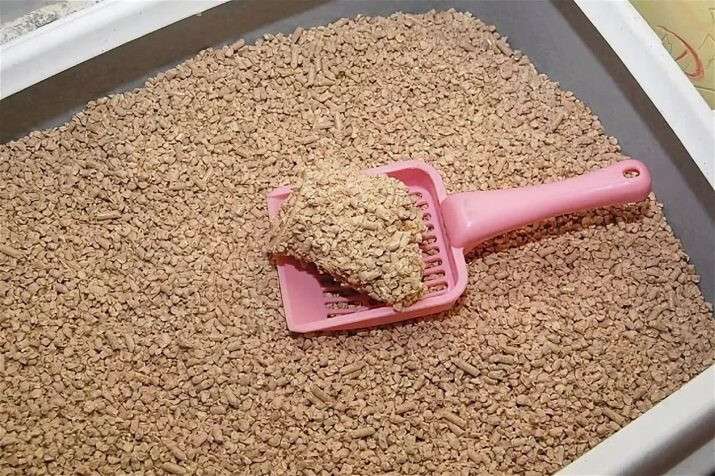 napovnyuvach-dlya-kotyachogo-tualetu-yakiy-mozhna-zmivati-v-un-taz-yak-vibrati-rozchinniy-napovnyuvach-dlya-kot-v-v-chomu-yogo-osoblivost-6