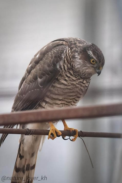 417399531_7336187496433319_5514917846529777806_n