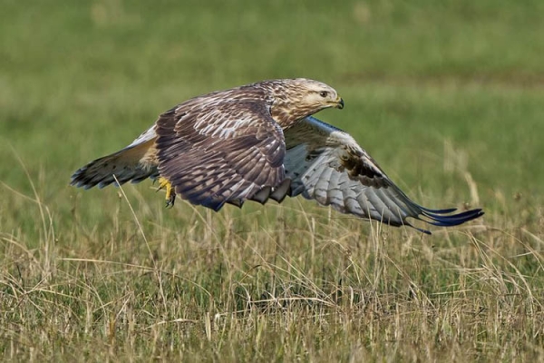 415293581_2903268326478785_5075471689267079313_n