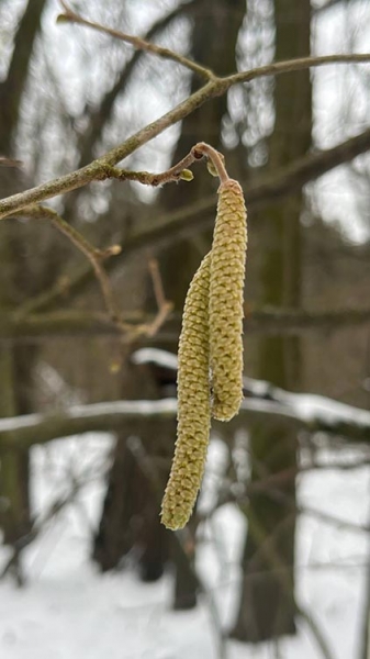 419128689_24660905926857827_1768986071092061946_n