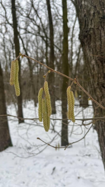 419237175_24660906086857811_5207884312586250361_n