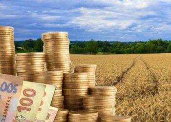 На сім земельних ділянок планують продати права оренди на Львівщині