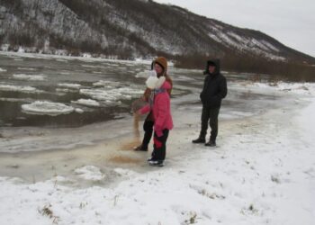 Не годуйте птахів на водоймах узимку