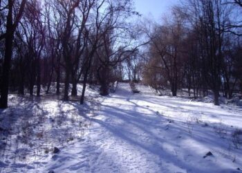 Почему Рыбальская балка в Днепре так называется и что там было раньше – Дніпро