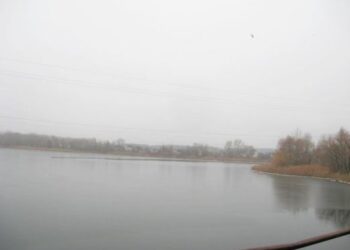 Припинено право приватної власності на гектар земель водного фонду у передмісті Черкас  — Новости Черкасс