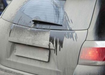 Штраф за брудні номери: скільки платитимуть водії, якщо зупинить поліція | АВТО НОВИНИ |