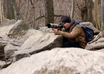 Сьогодні ювілей відомого фотографа-анімаліста Віктора Севідова |  Дніпро
