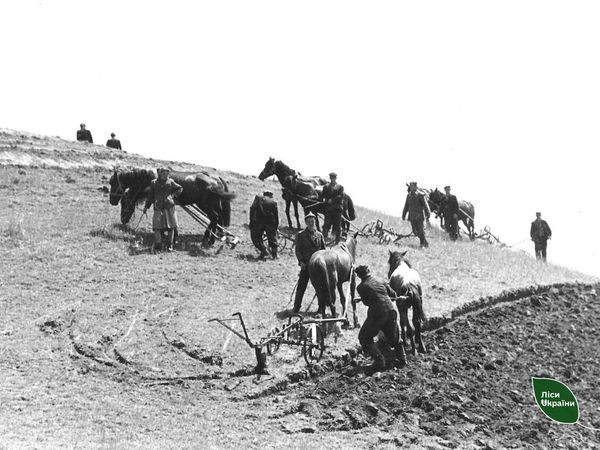 419880153_333105479685748_2816710026922614114_n