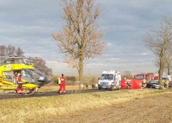 У ДТП в Польщі загинуло троє українців