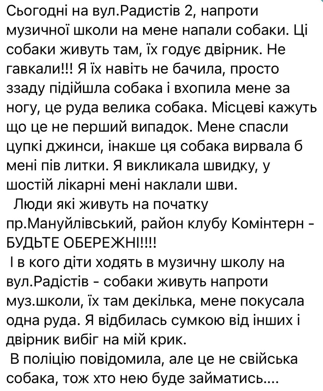 Новости Днепра про В Днепре бродячие собаки напали на девушку и грызнули ее за ногу: пришлось накладывать швы