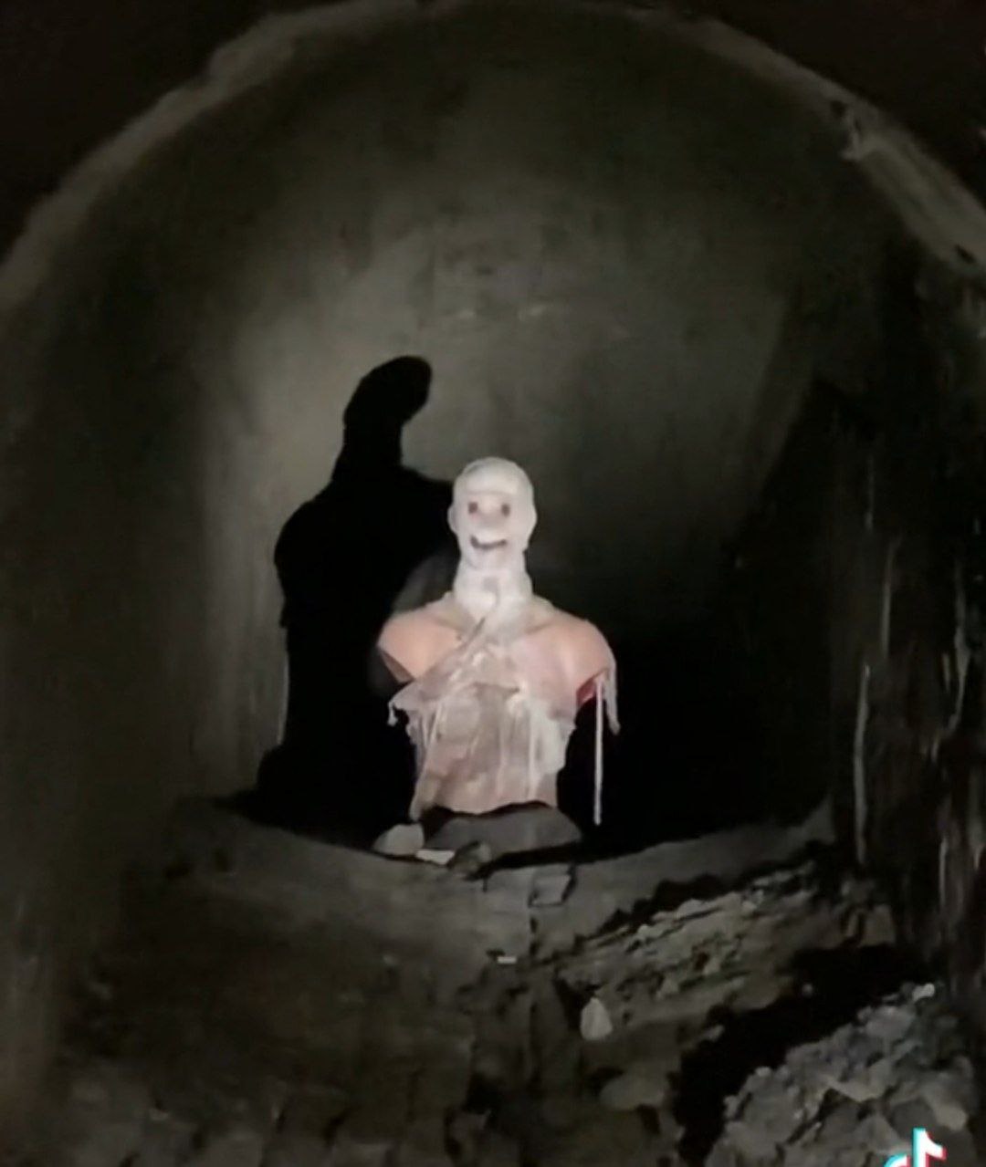 Новости Днепра про В Днепре диггеры-экстремалы показали 200-летние тоннели, где течет подземная река Половица (ВИДЕО)