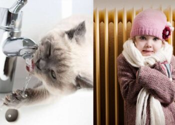 В Днепре сегодня возникли проблемы с отоплением и водоснабжением: подробности – Дніпро