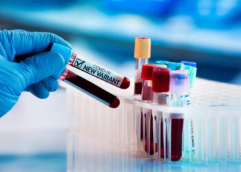 В Украине зафиксировали первые случаи нового субварианта штамма Омикрон: есть ли он уже в Днепре – Дніпро