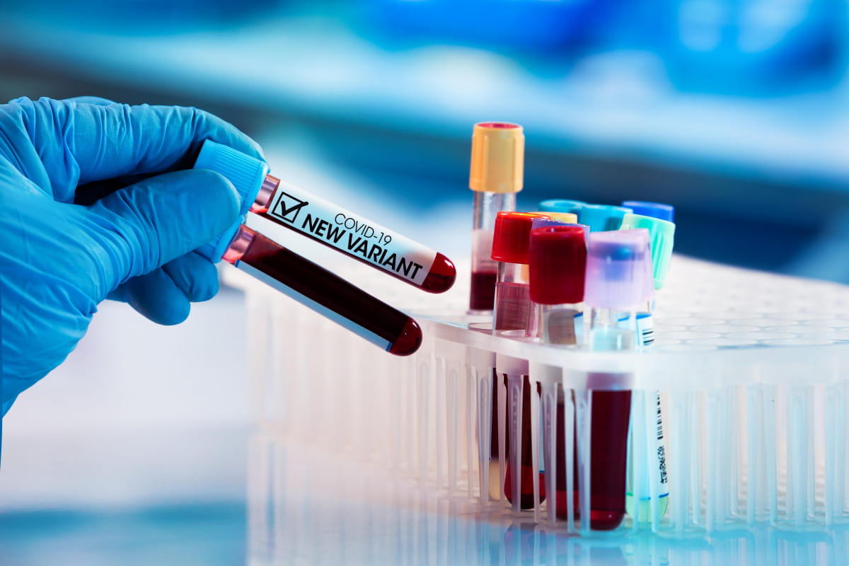 Новости Днепра про В Украине зафиксировали первые случаи нового субварианта штамма Омикрон: есть ли он уже в Днепре