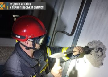 Врятували кота у Тернополі, який впав у шах