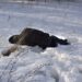 Жертв похолодання виявили на Тернопільщині