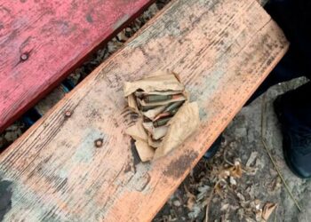 Жінка у Черкасах на вулиці виявила коробку з набоями — Новости Черкасс