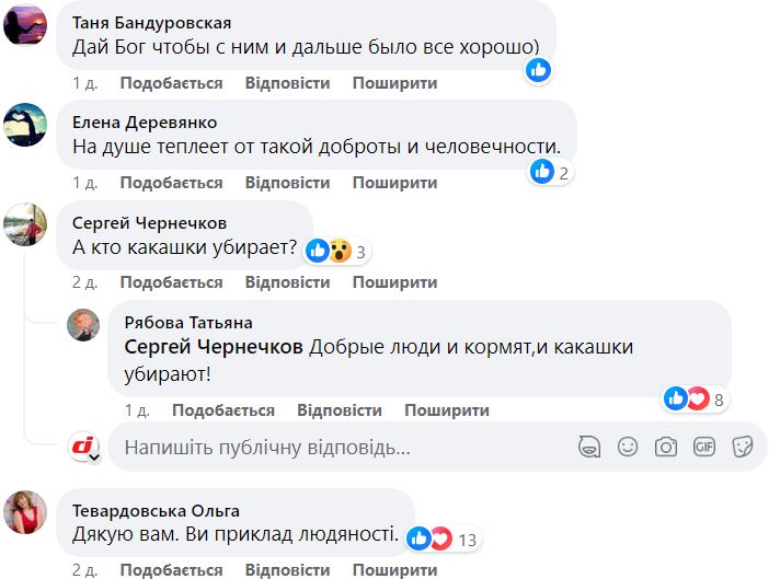 Новости Днепра про Жители Днепра поселили у себя в подъезде раненого дикого голубя: их поняли не все
