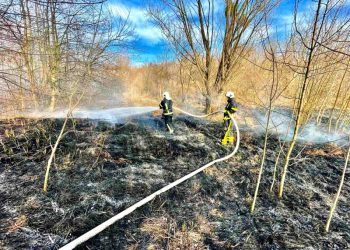 Пожежа у Христинівці: зайнялося понад 2,5 га території (ФОТО) – Новини Черкасс