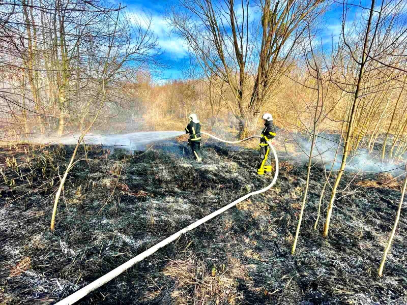 наслідки пожежі