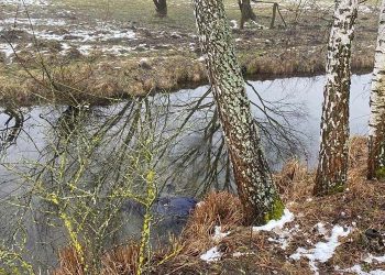 Чоловік віком у 67 років втопився у річці на Кременеччині