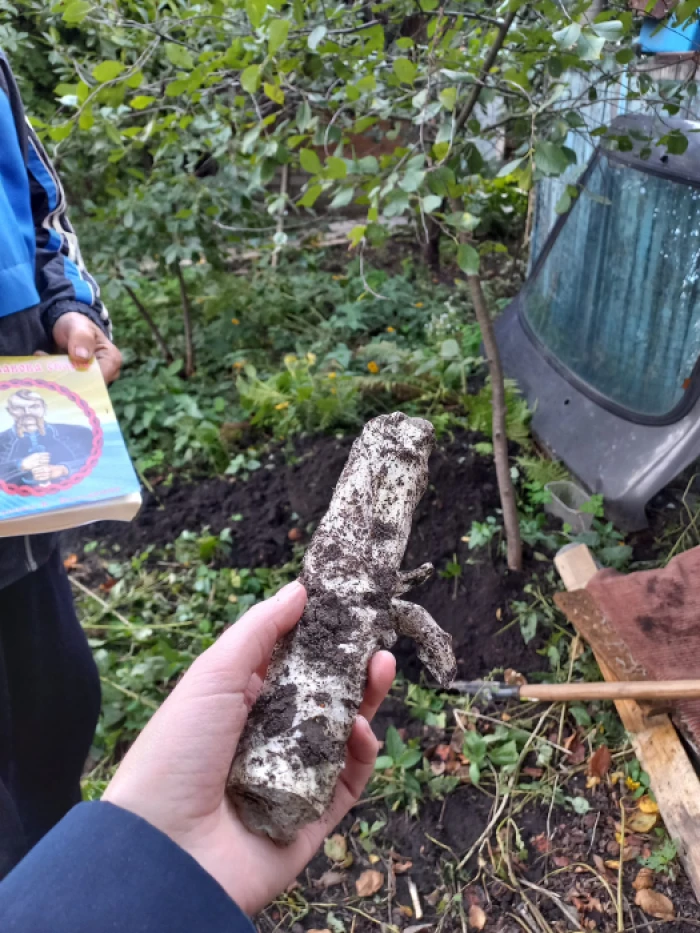 Вікторія Амеліна з пакунком записів Володимира Вакуленка