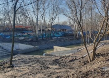На благоустрої парку «Почайна» в Києві вкрали 1,7 млн грн, — Прокуратура