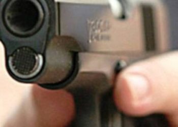 На вісім років посадять львів’янина за постріли в людей та викрадення автомобіля