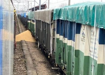 Поліція Польщі відкрила справу щодо висипаної української сої на залізниці