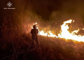Рятувальники ліквідували дві пожежі сухої рослинності — Новости Черкасс