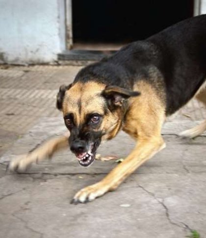 Ілюстративне фото