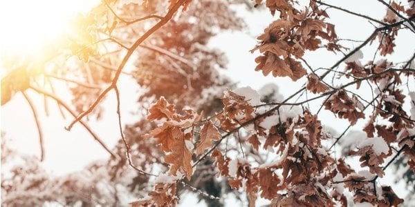 Фото уиовне/NV