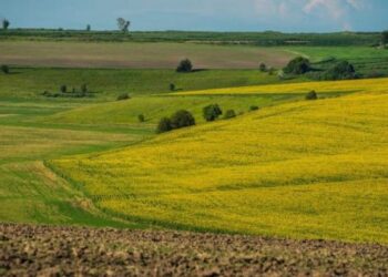 У державну власність повернуто землі Смілянщини, які належали громадянину рф — Новости Черкасс