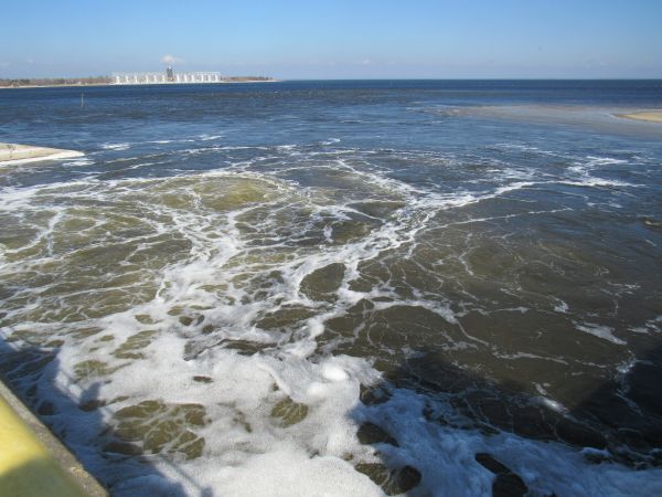 428507924_824769256357483_2738892729262428144_n