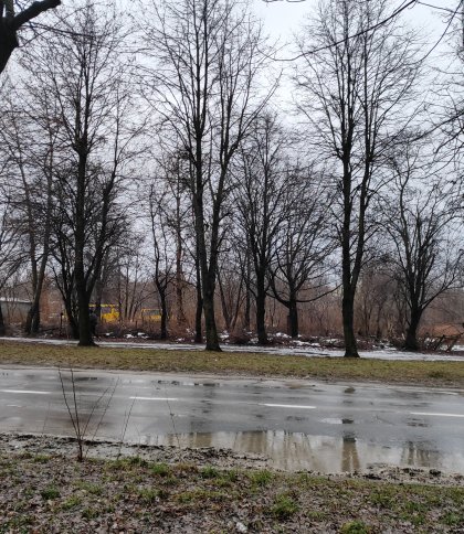 У Львові готують до продажу під забудову ділянку над колектором Полтви