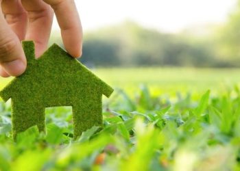 У Львові та околицях продадуть 8 земельних ділянок – одну під житловий будинок. Яка вартість