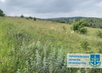 У Підволочиську незаконно привласнили землю на 400 млн грн