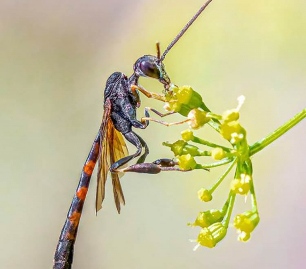 417424454_1439217986706934_7657354025605948132_n