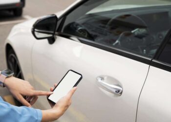 У Верховній Раді розглядають можливість розмитнення авто через “Дію” | АВТО НОВИНИ |