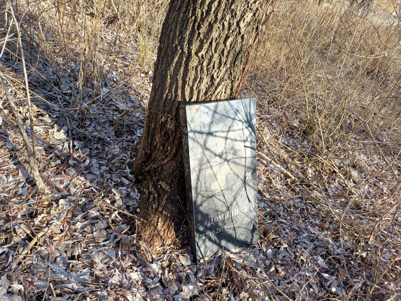 Новости Днепра про В Днепре на Победе возрождается полуразрушенное стихийное кладбище домашних животных