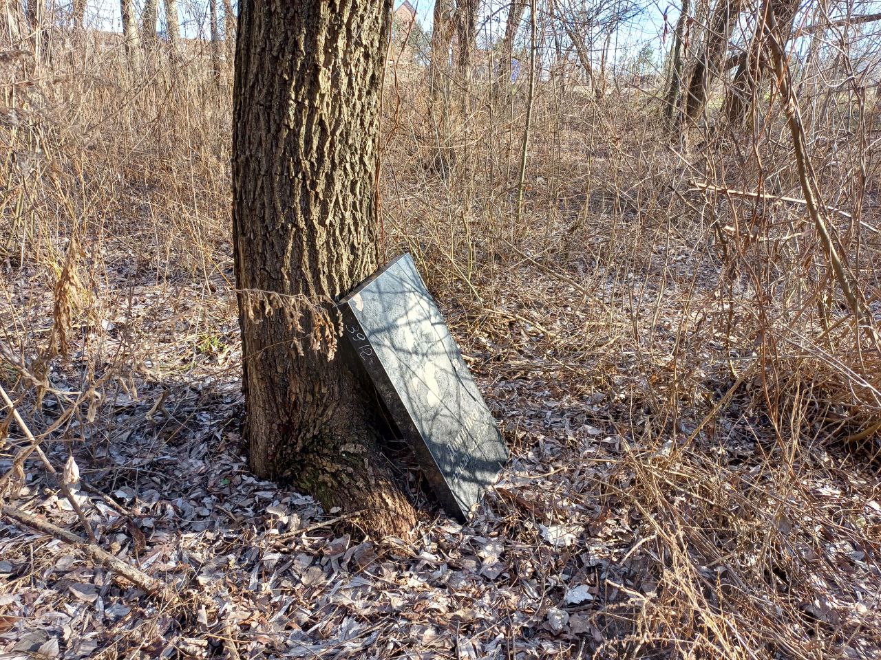 Новости Днепра про В Днепре на Победе возрождается полуразрушенное стихийное кладбище домашних животных