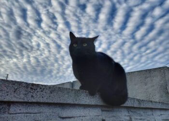 В небе над Днепром зафиксировали высококучевые облака: что это за явление – Дніпро