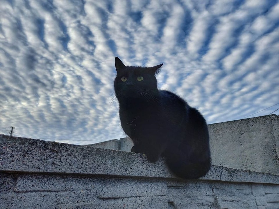 Новости Днепра про В небе над Днепром зафиксировали высококучевые облака: что это за явление