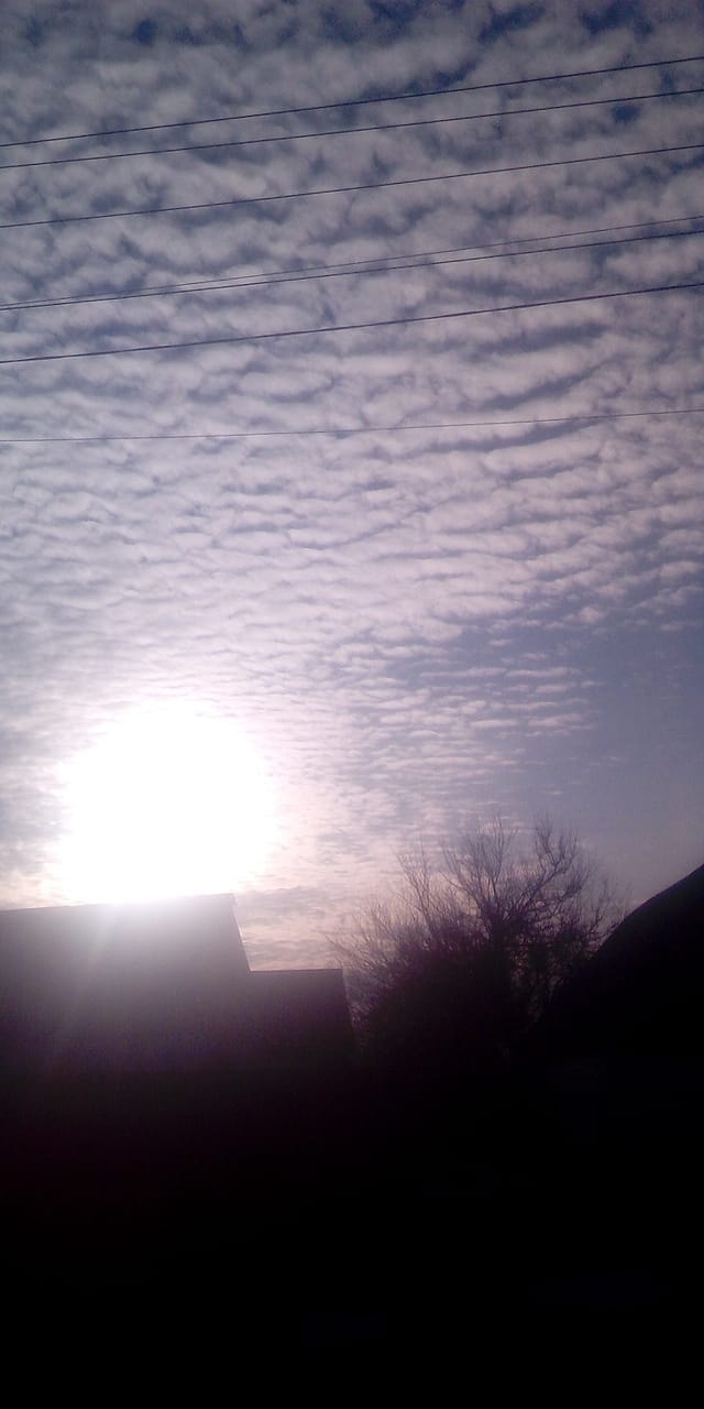 Новости Днепра про В небе над Днепром зафиксировали высококучевые облака: что это за явление