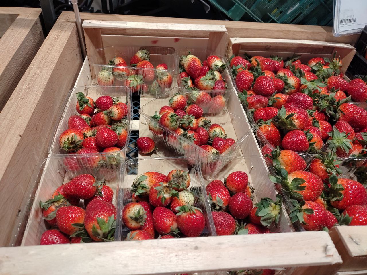 Новости Днепра про В супермаркетах Днепра продают полузеленую клубнику за 549 грн (ФОТО)