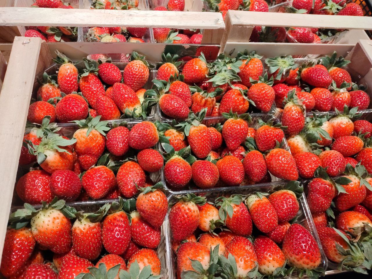 Новости Днепра про В супермаркетах Днепра продают полузеленую клубнику за 549 грн (ФОТО)