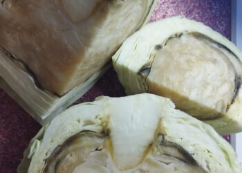 Внешне свежая – внутри гниль: в Днепре массово жалуются на капусту из АТБ – Дніпро