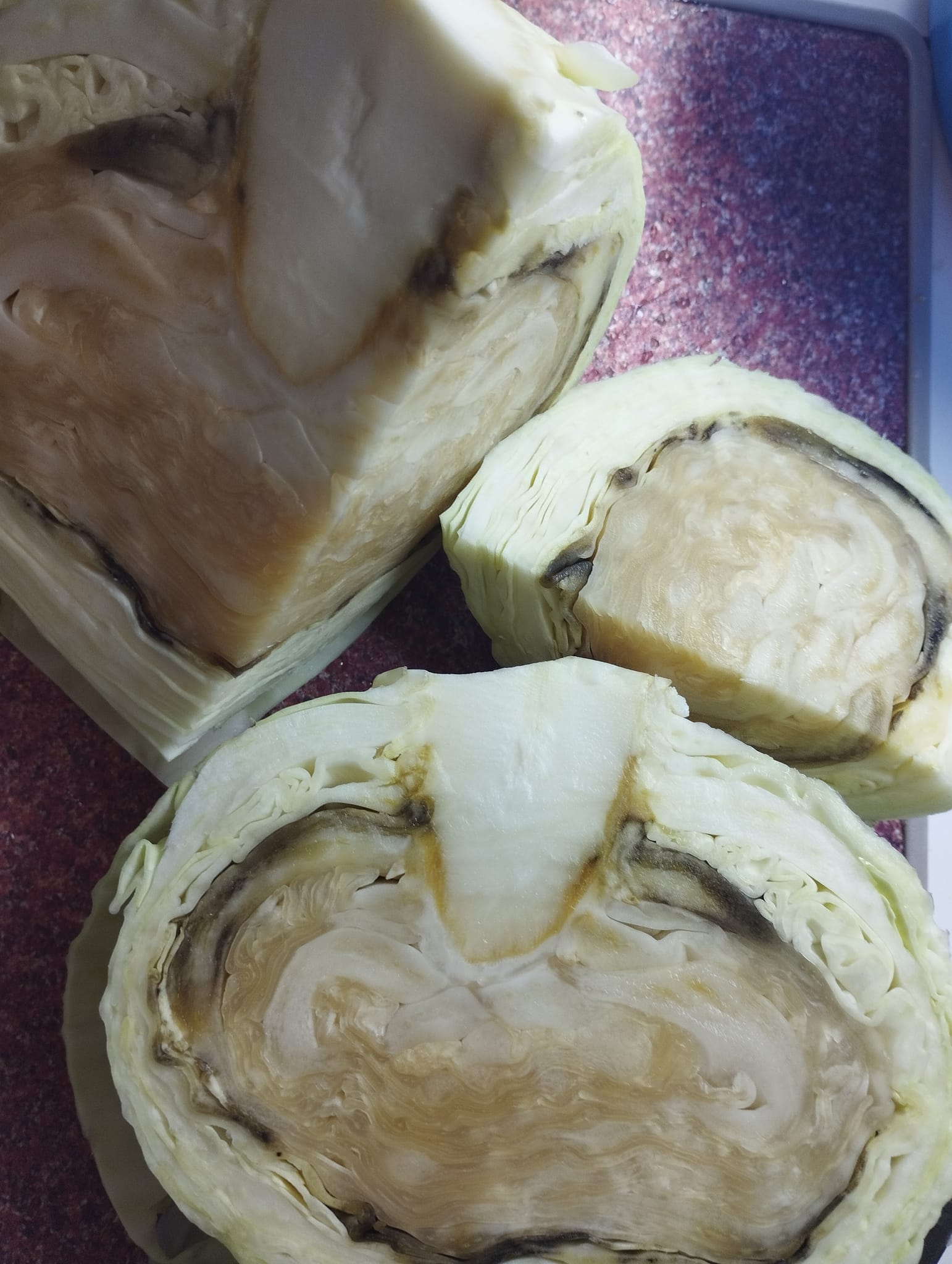 Новости Днепра про Внешне свежая – внутри гниль: в Днепре массово жалуются на капусту из АТБ